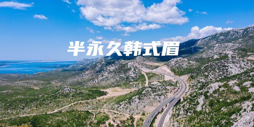 半永久韩式眉插图