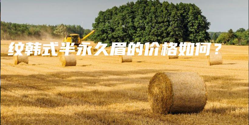 纹韩式半永久眉的价格如何？插图