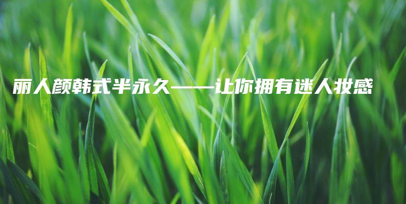 丽人颜韩式半永久——让你拥有迷人妆感插图