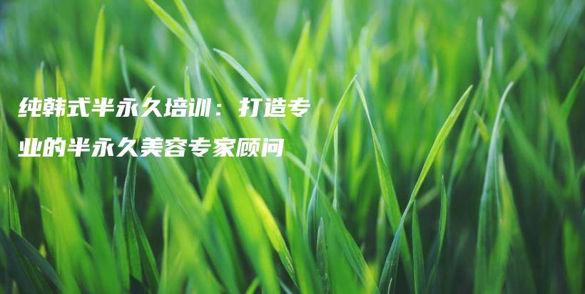纯韩式半永久培训：打造专业的半永久美容专家顾问插图