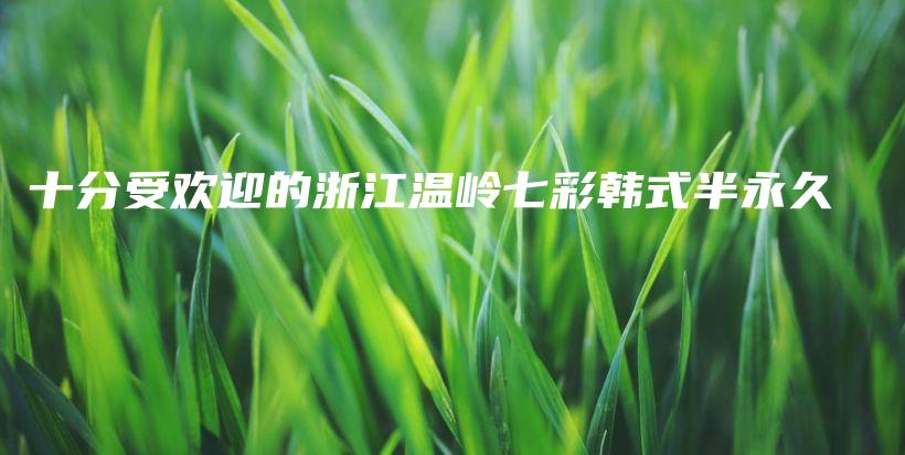 十分受欢迎的浙江温岭七彩韩式半永久插图