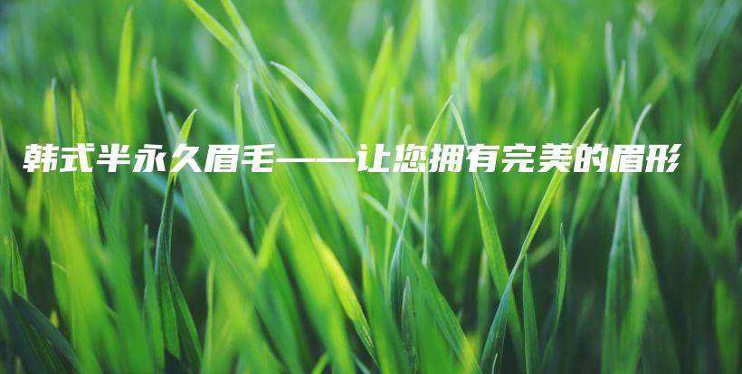 韩式半永久眉毛——让您拥有完美的眉形插图