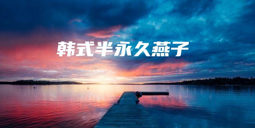 韩式半永久燕子插图
