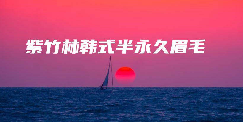 紫竹林韩式半永久眉毛插图