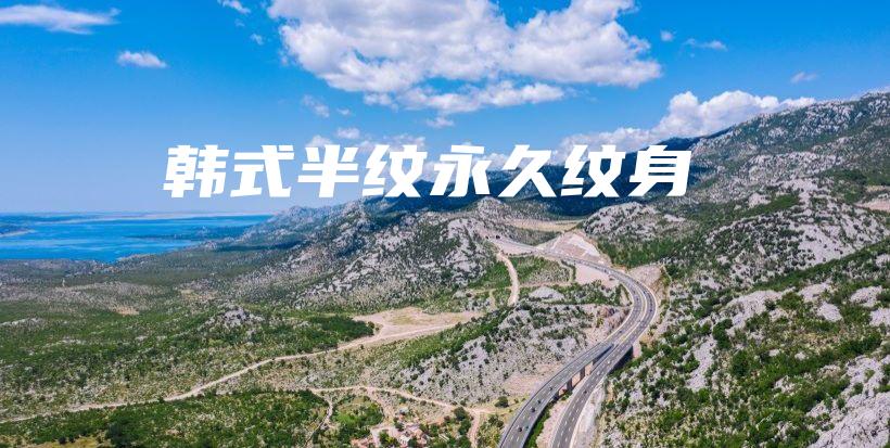 韩式半纹永久纹身插图
