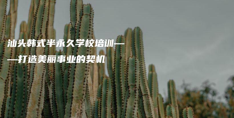 汕头韩式半永久学校培训——打造美丽事业的契机插图