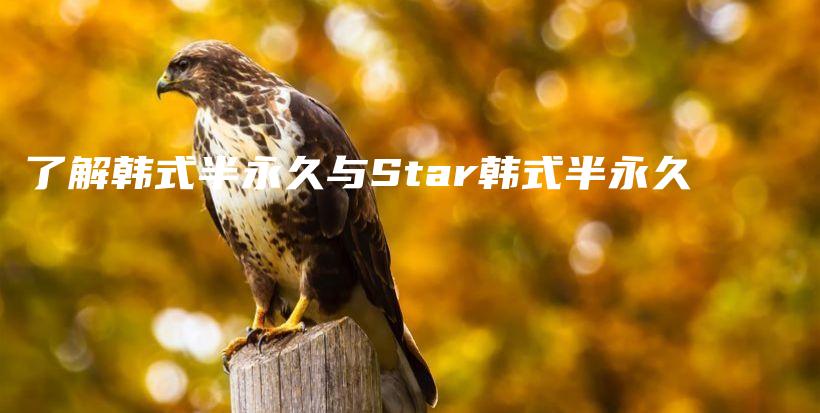 了解韩式半永久与Star韩式半永久插图