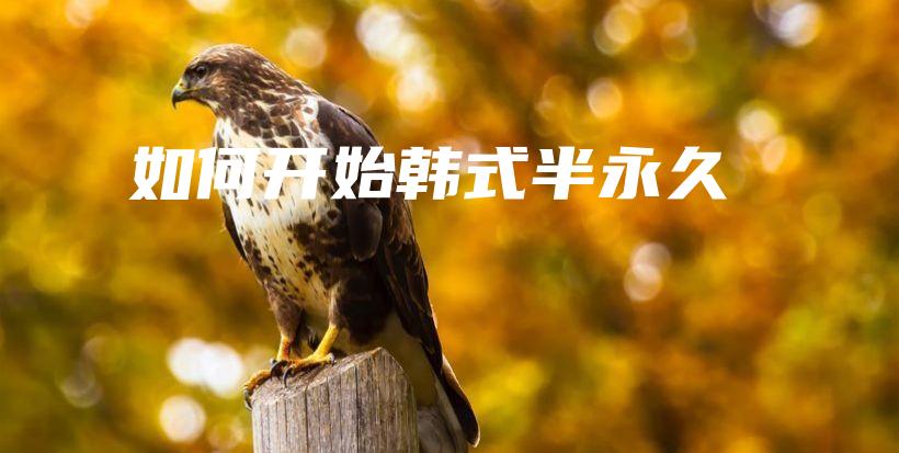 如何开始韩式半永久插图