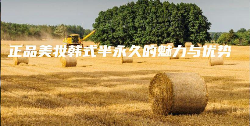 正品美妆韩式半永久的魅力与优势插图