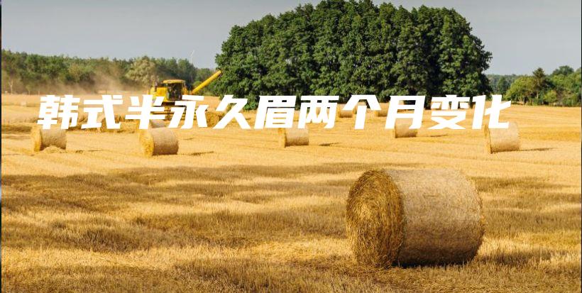 韩式半永久眉两个月变化插图