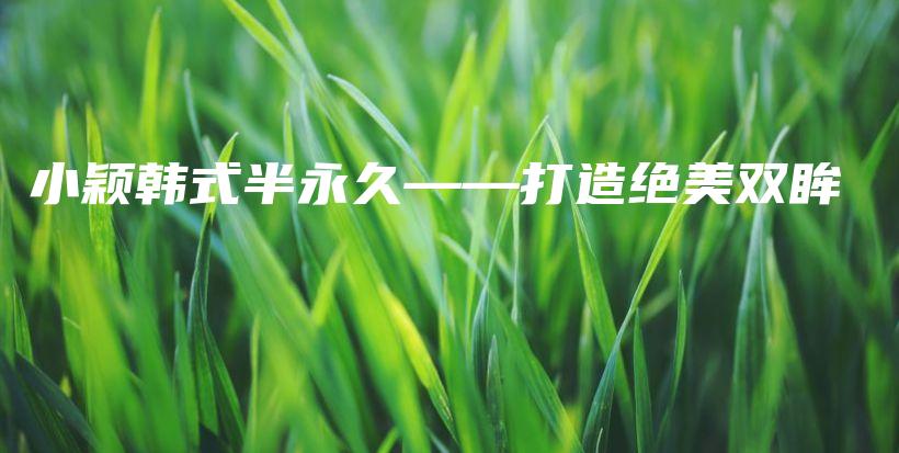 小颖韩式半永久——打造绝美双眸插图