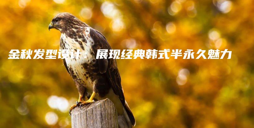 金秋发型设计：展现经典韩式半永久魅力插图