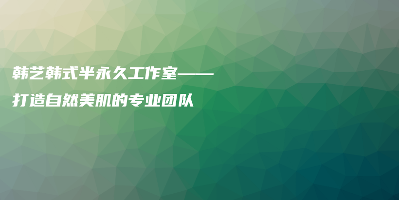 韩艺韩式半永久工作室——打造自然美肌的专业团队插图