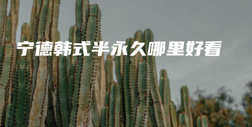 宁德韩式半永久哪里好看插图