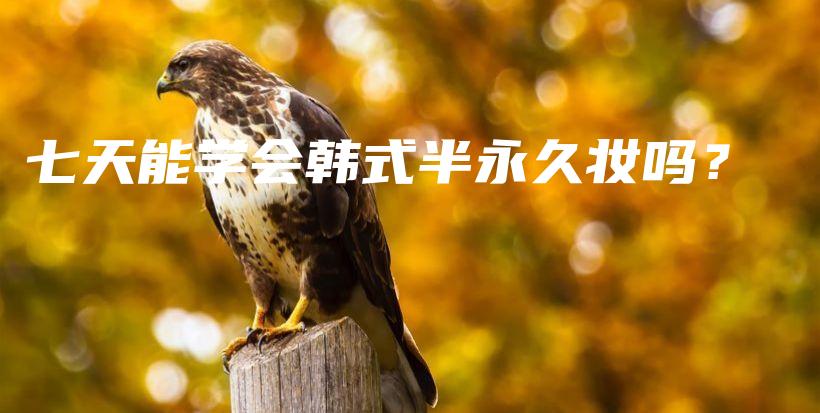 七天能学会韩式半永久妆吗？插图