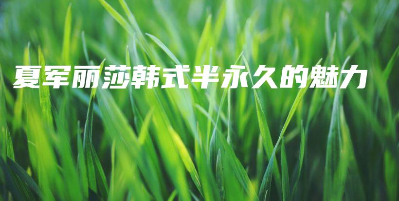夏军丽莎韩式半永久的魅力插图