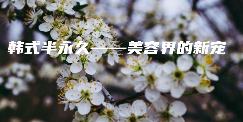 韩式半永久——美容界的新宠插图