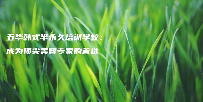 五华韩式半永久培训学校：成为顶尖美容专家的首选插图