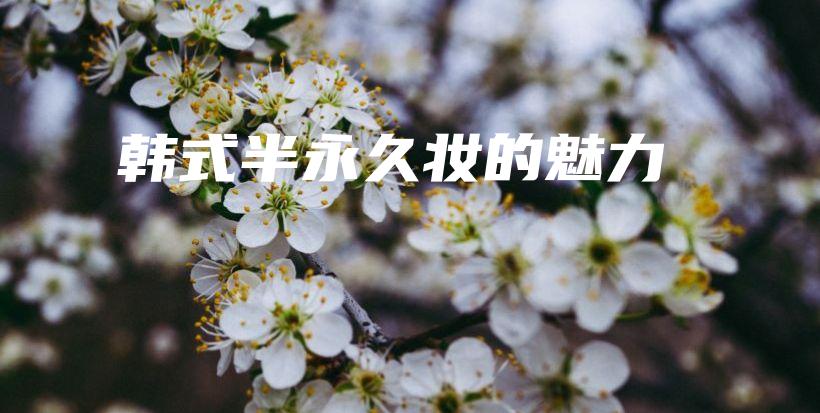 韩式半永久妆的魅力插图