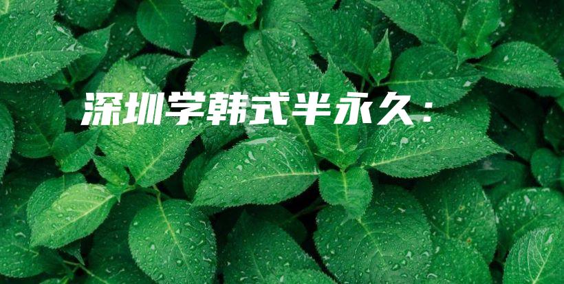 深圳学韩式半永久：插图