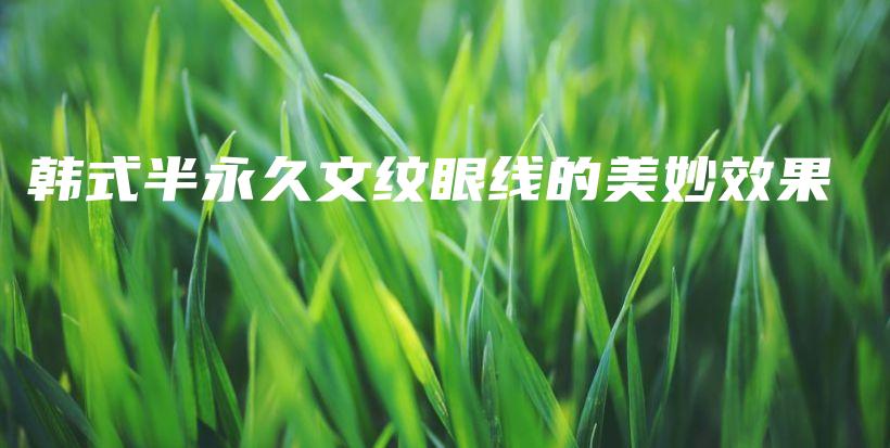 韩式半永久文纹眼线的美妙效果插图