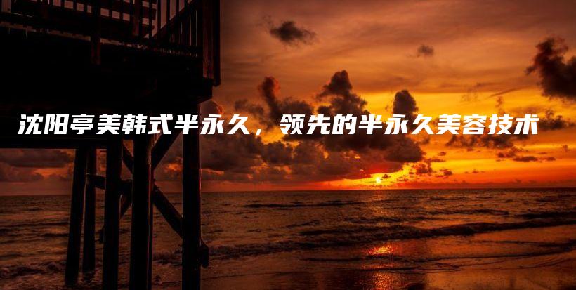 沈阳亭美韩式半永久，领先的半永久美容技术插图