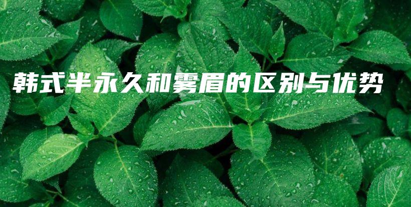 韩式半永久和雾眉的区别与优势插图