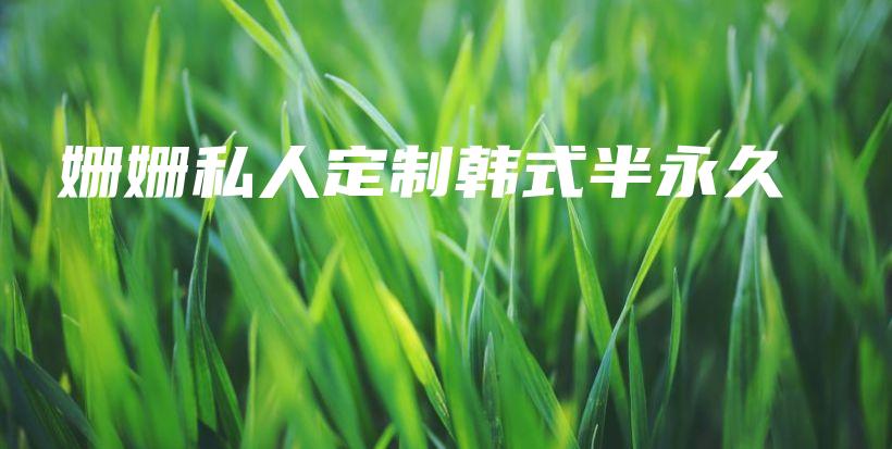 姗姗私人定制韩式半永久插图