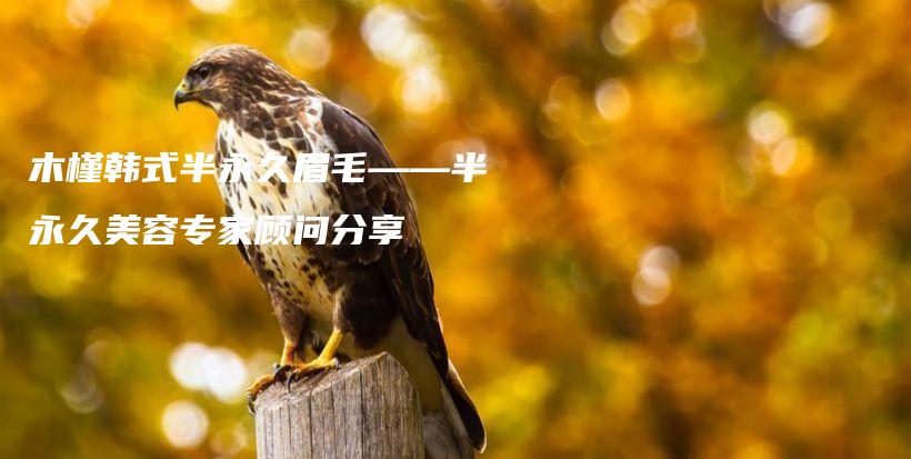 木槿韩式半永久眉毛——半永久美容专家顾问分享插图
