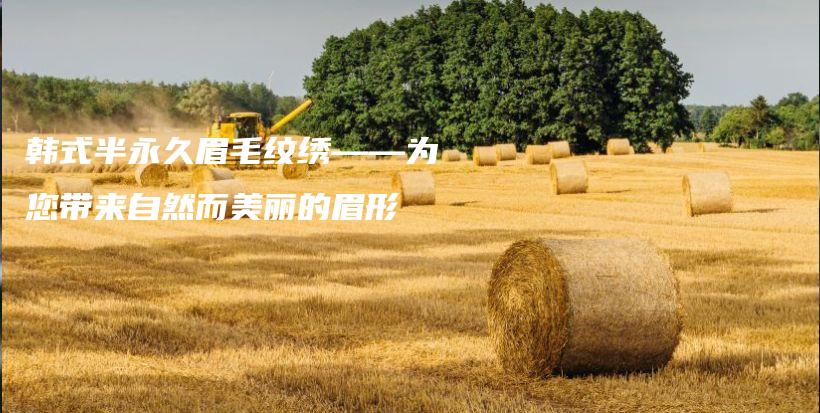韩式半永久眉毛纹绣——为您带来自然而美丽的眉形插图