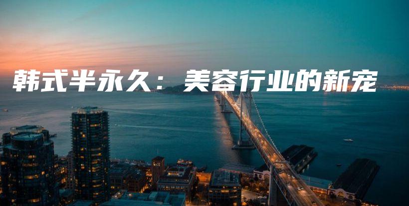 韩式半永久：美容行业的新宠插图