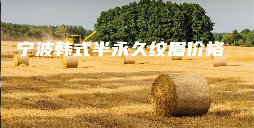 宁波韩式半永久纹眉价格插图