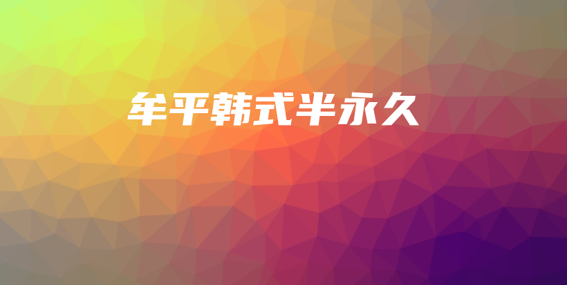 牟平韩式半永久插图