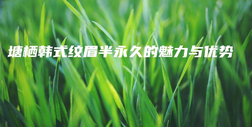 塘栖韩式纹眉半永久的魅力与优势插图