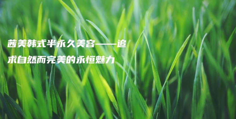 茜美韩式半永久美容——追求自然而完美的永恒魅力插图