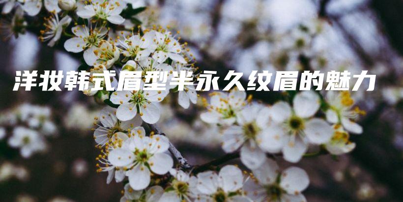 洋妆韩式眉型半永久纹眉的魅力插图