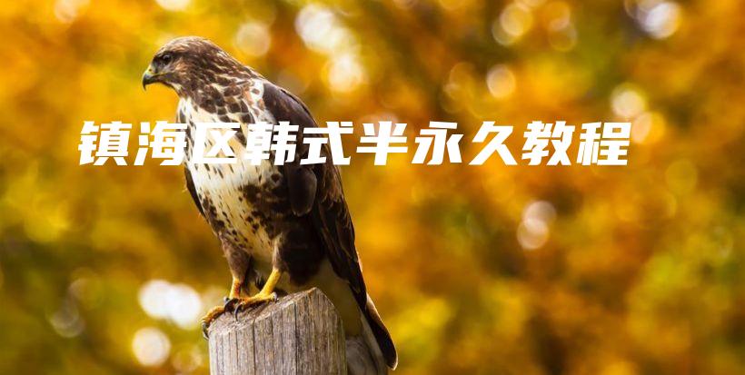 镇海区韩式半永久教程插图