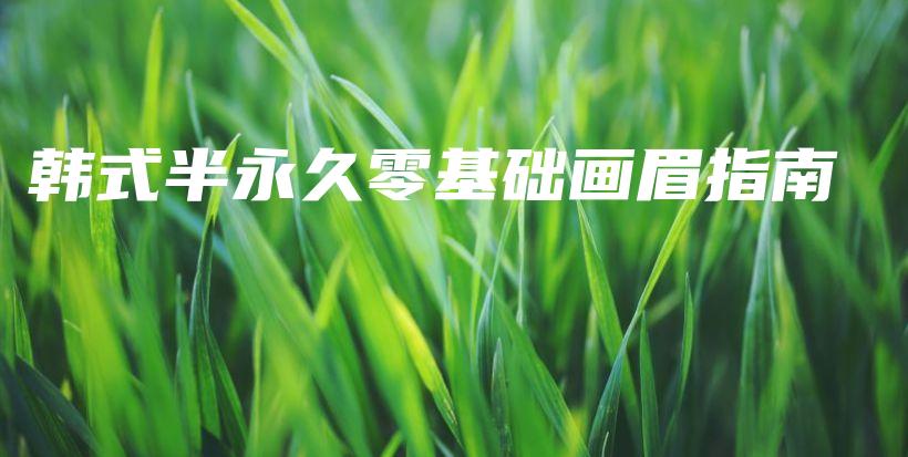 韩式半永久零基础画眉指南插图