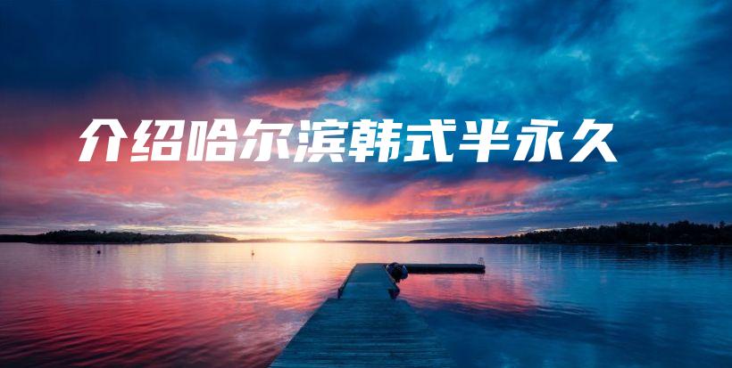 介绍哈尔滨韩式半永久插图