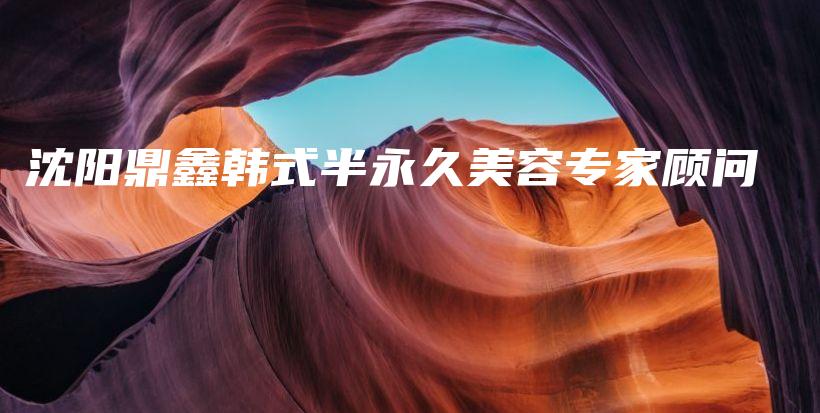 沈阳鼎鑫韩式半永久美容专家顾问插图