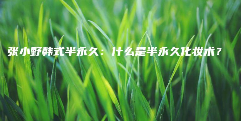 张小野韩式半永久：什么是半永久化妆术？插图