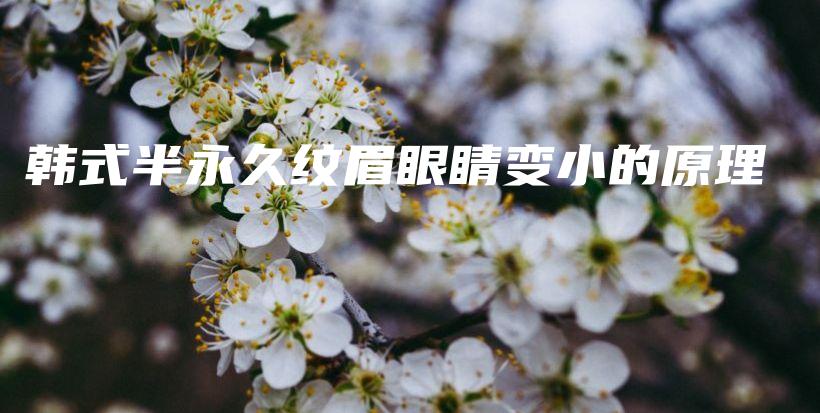 韩式半永久纹眉眼睛变小的原理插图