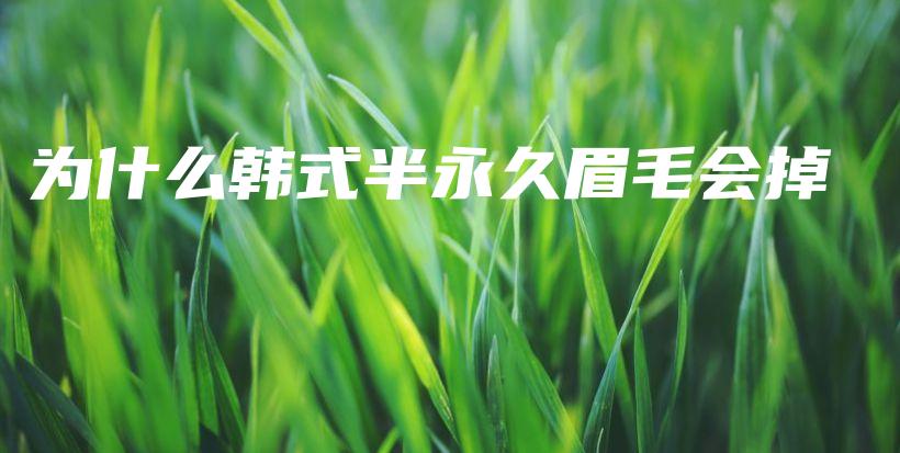 为什么韩式半永久眉毛会掉插图