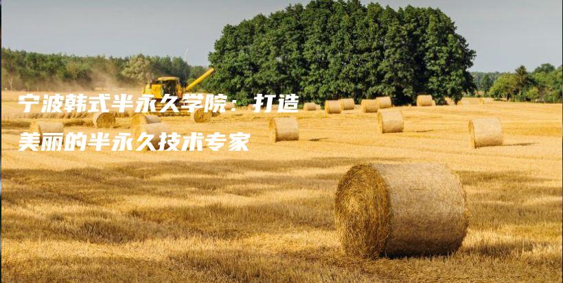 宁波韩式半永久学院：打造美丽的半永久技术专家插图