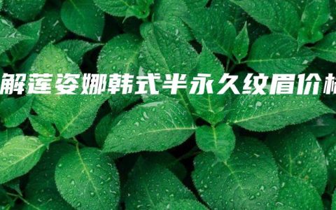 了解莲姿娜韩式半永久纹眉价格