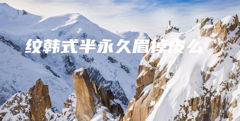 纹韩式半永久眉掉皮么插图