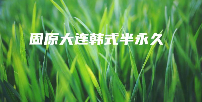 固原大连韩式半永久插图