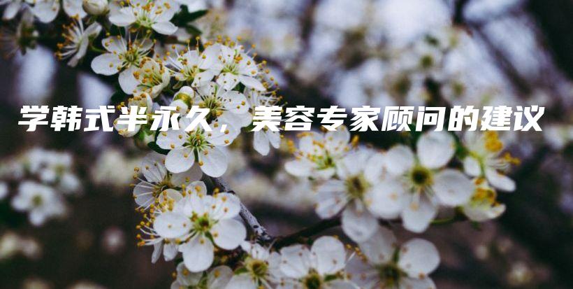 学韩式半永久，美容专家顾问的建议插图