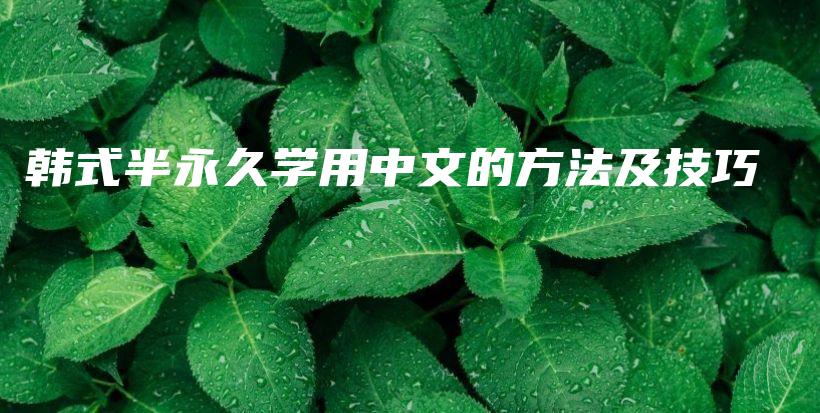 韩式半永久学用中文的方法及技巧插图