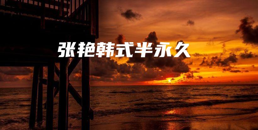 张艳韩式半永久插图